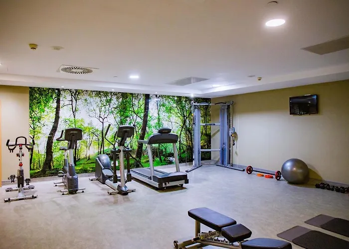 Gelmirez San Giacomo di Compostella